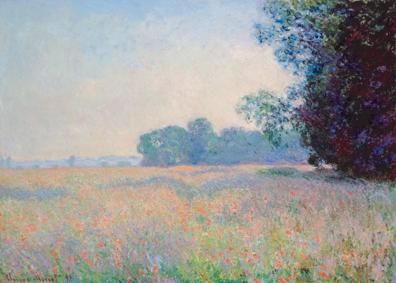 Landscape of an oat field with trees.